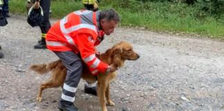 DRK Rettungshundestaffel