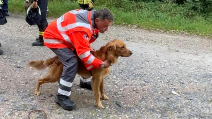 DRK Rettungshundestaffel