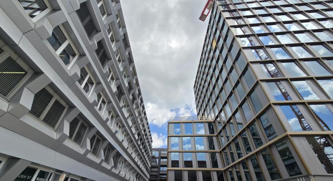 Timber Peak Zollhafen Mainz