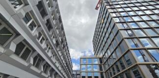 Timber Peak Zollhafen Mainz