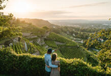 Sächsische Weinstraße: Genusswandern mit Blick aufs Elbtal