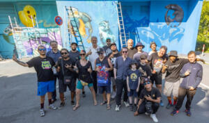 Krähenplage in mainz: landwirte kämpfen um ihre ernte