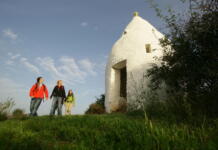 Sommerwandern im Weinland Rheinhessen: Unterwegs auf der Hiwweltour Aulheimer Tal