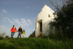 Bundespolizei durchsucht acht objekte und nimmt tatverdächtige fest