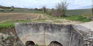 Starkegenkonzept Oppenheim Bürgerinfo