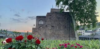 Brömserburg mit Rosen