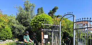 Auszubildende legen neuen Rosengarten an