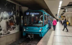 30 feldhamster bei pfungstadt ausgewildert