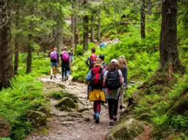 Wandertage Wiesbaden