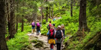 Wandertage Wiesbaden