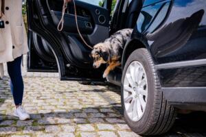 Wasseranalyse für brunnenbesitzer in groß-gerau