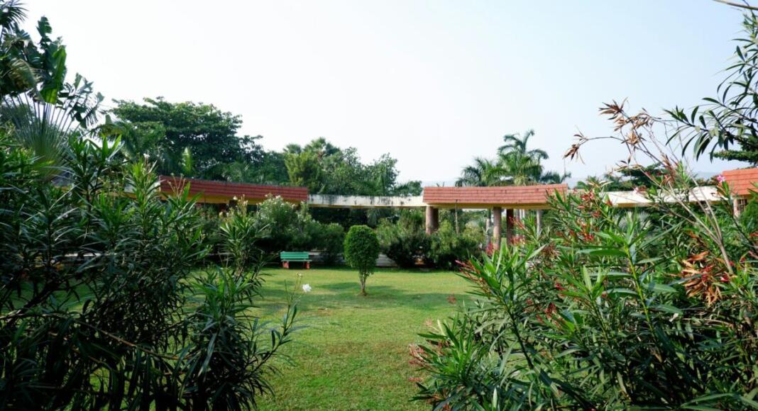 Garten, Bäume, Rasen, Bildquelle: unsplash.com