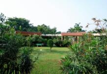 Den eigenen Garten mit Bäumen aufwerten Garten, Bäume, Rasen, Bildquelle: unsplash.com