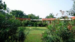 Brutaler raubüberfall in wohnung – frau verletzt