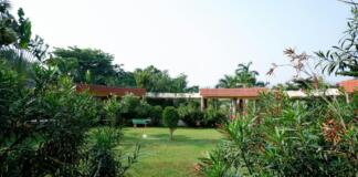 Garten, Bäume, Rasen, Bildquelle: unsplash.com