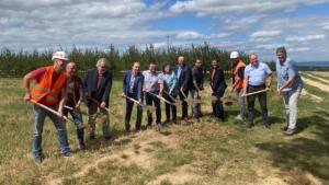 Wander-tipp für den herbst in rheinhessen