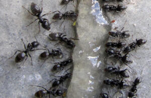 Sicherheit in rechenzentren – so streng sind die maßnahmen