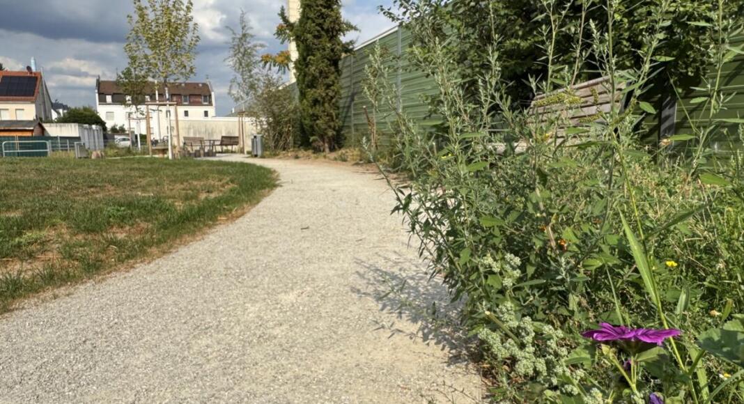 Pocket-Park in Mainz-Mombach | Quelle: Landeshauptstadt Mainz Pocket-Park in Mainz-Mombach | Quelle: Landeshauptstadt Mainz