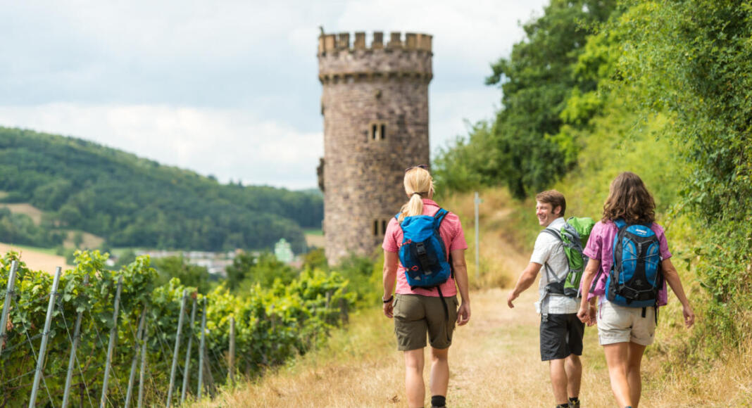 Hiwweltour Rheinhessen