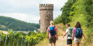 Hiwweltour Rheinhessen