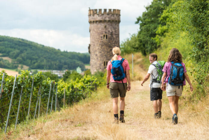 Hiwweltour Rheinhessen