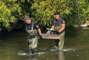 Kellerwegfest in guntersblum: anreise und busse Kellerwegfest in guntersblum: anreise und busse