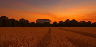 Draiser und Lerchenberger GRÜNE gegen Neubau der Unimedizin Mainz