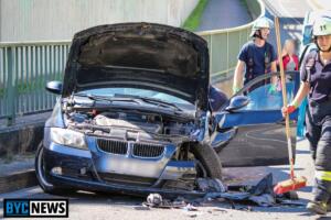 Projekt „hummeln helfen! “: uni mainz bringt biodiversität in schulen