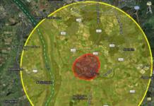 Japankäfer-Befall: Einschränkungen auch für Ginsheim-Gustavsburg