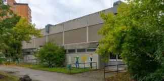 Dicker Busch Rüsselsheim