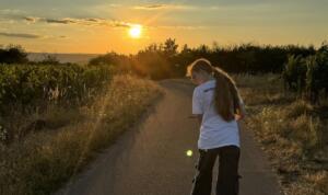 Von apfelkuchen bis sidra: wiesbadens schlossplatz wird zum apfelfest