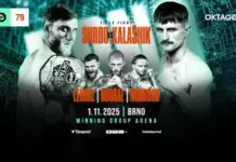 OKTAGON MMA kehrt nach Brünn zurück