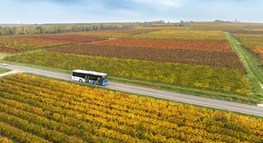 Nachhaltig unterwegs zwischen Reben und Rhein- moderner Nahverkehr im RNN