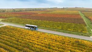 Rückruf bei globus aufgrund von verletzungsgefahr 1