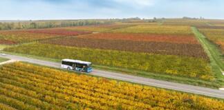 Nachhaltig unterwegs zwischen Reben und Rhein- moderner Nahverkehr im RNN