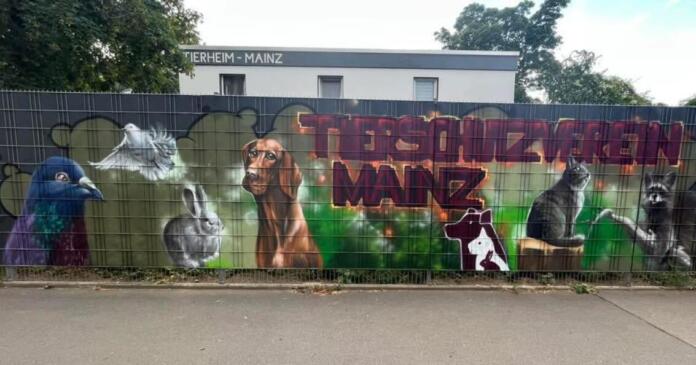 Tierheim Mainz