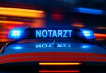 Mysteriöser Unfall: Wer hat den Senior am Blauen Steg gesehen? Symbolbild Notarzt