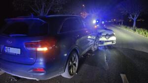 Aufwachen unter alten baumriesen in glamping (österreich) Aufwachen unter alten baumriesen in glamping (österreich) 5