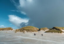 Amrum im Herbst: Eine Entdeckungsreise für alle Sinne Amrum, Dünen, Strand, Meer