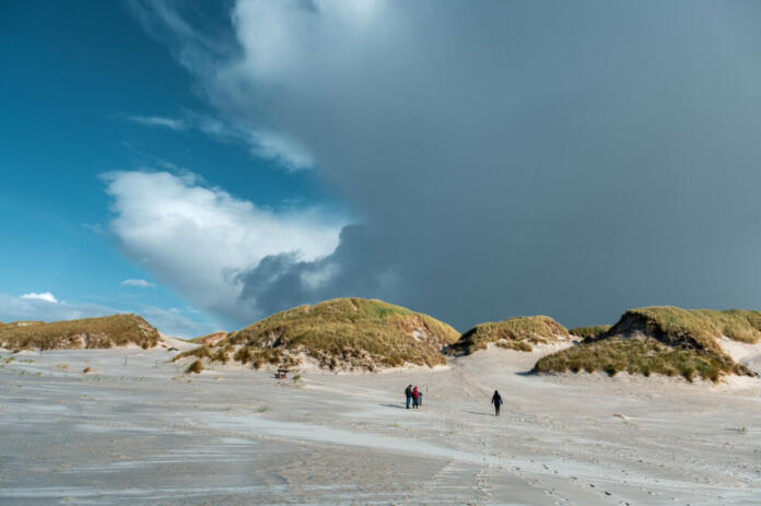 Amrum, Dünen, Strand, Meer Amrum, Dünen, Strand, Meer