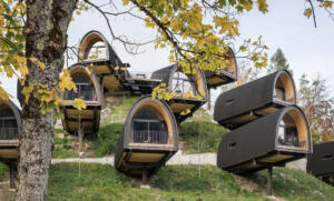 Aufwachen unter alten baumriesen in glamping (österreich)