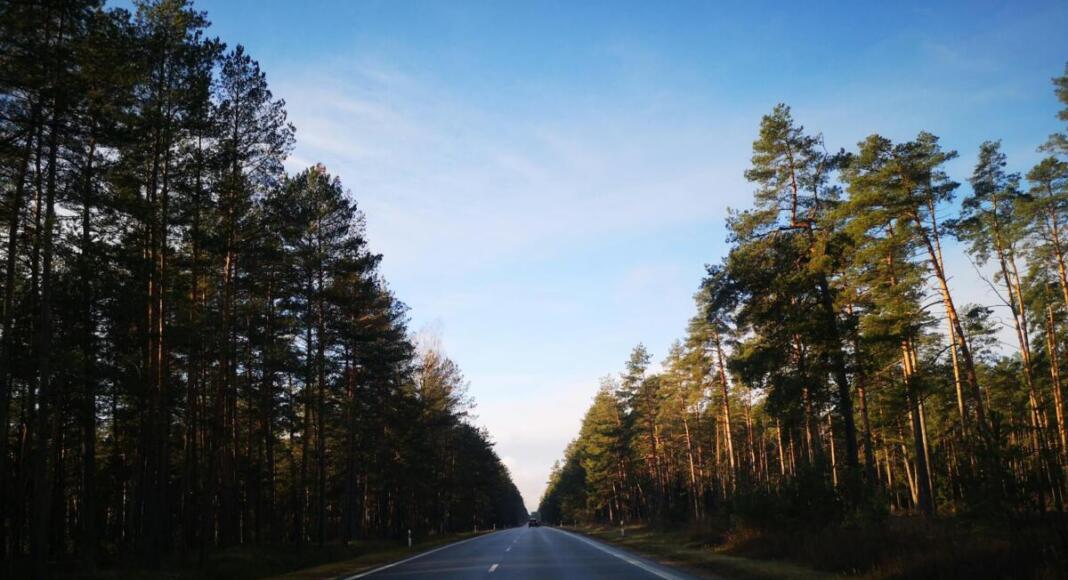 Straße, Landschaft, Bäume, Allee