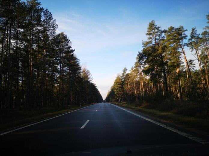 Straße, Landschaft, Bäume, Allee