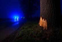 Polizei-Zivilstreife kracht bei Verfolgungsjagd gegen Baum