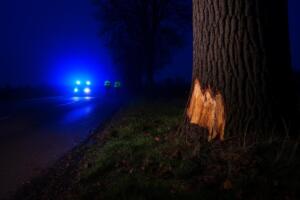 Meißner+wojciski gmbh in appenheim meldet insolvenz an