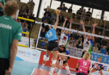 VC Wiesbaden am Dienstag gegen Erfurt