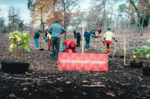 Mainz 05 und ENTEGA pflanzen 1.000 Linden im Lennebergwald