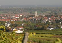 Gemeinde Bodenheim appelliert an Bürger und Unternehmen Bodenheim