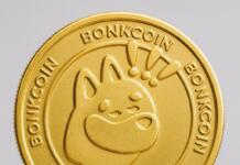 Bonk Coin (BONK): Was steckt hinter dem Solana-Memecoin?