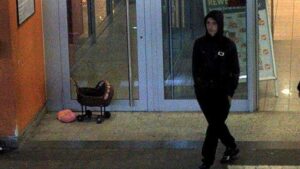 Umfrageergebnis zur landtagswahl 2026 in rheinland-pfalz